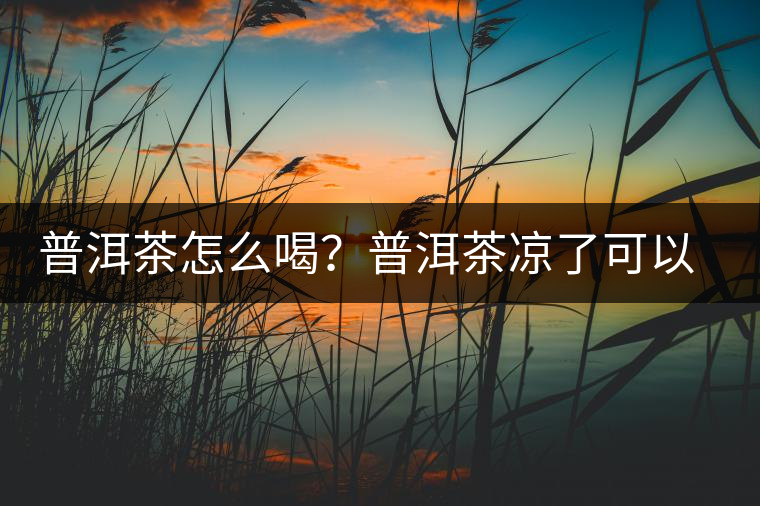 普洱茶怎么喝？普洱茶涼了可以喝嗎？