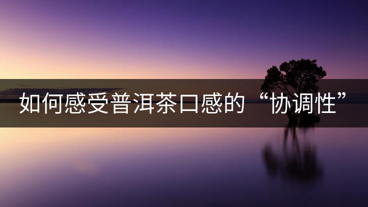 如何感受普洱茶口感的“協(xié)調性”？