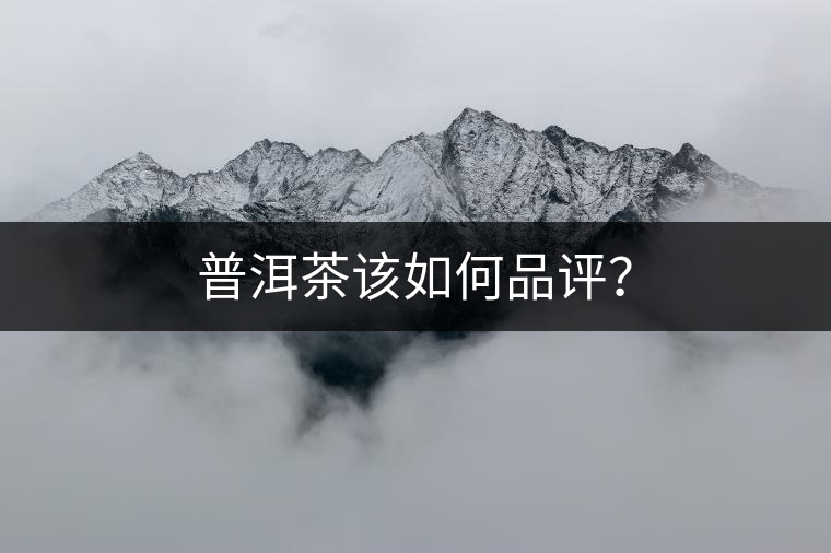 普洱茶該如何品評(píng)？