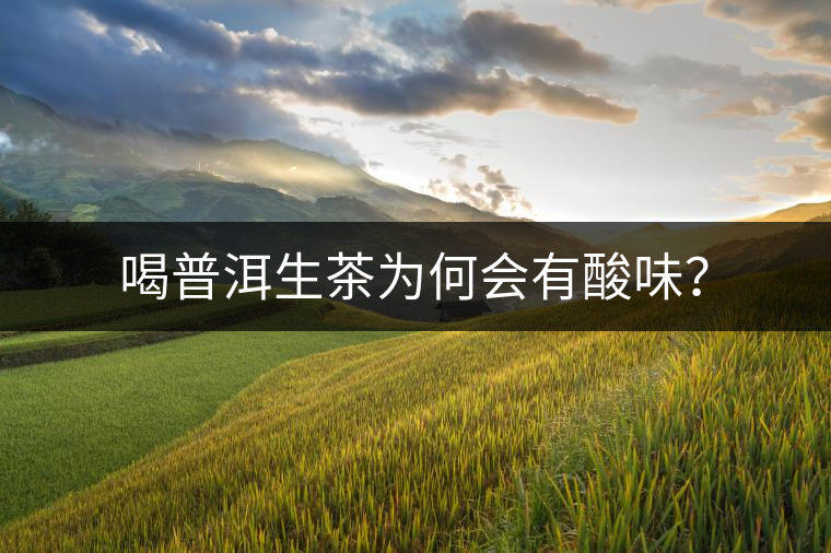 喝普洱生茶為何會(huì)有酸味？