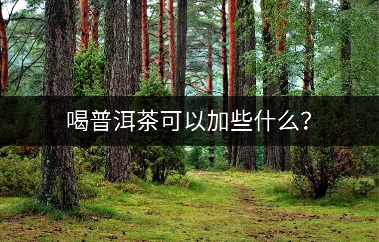 喝普洱茶可以加些什么？