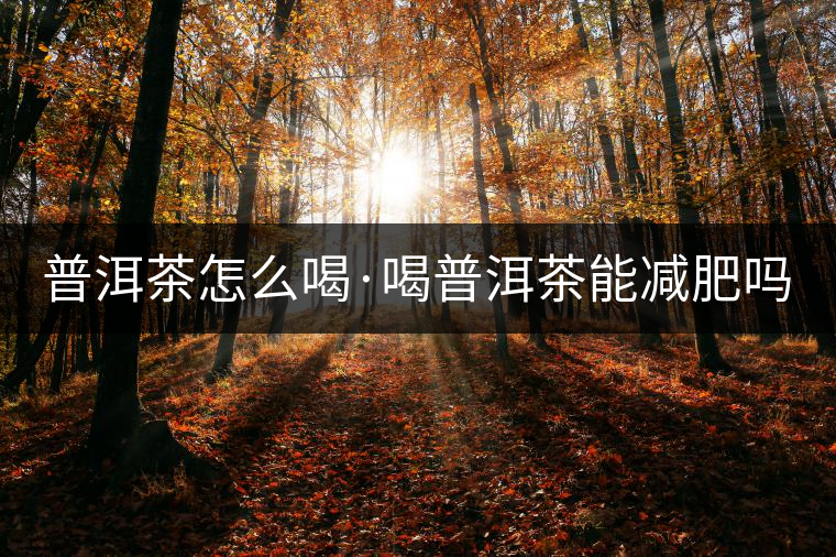 普洱茶怎么喝·喝普洱茶能減肥嗎？