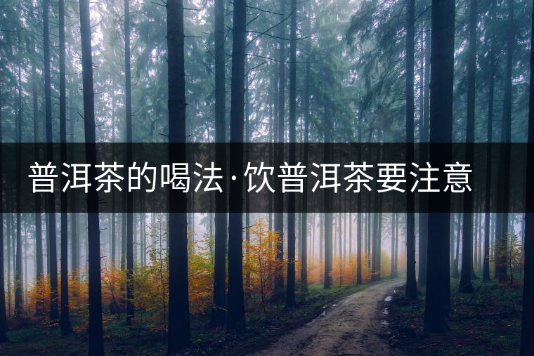 普洱茶的喝法·飲普洱茶要注意哪些事項 普洱茶的喝法·飲普洱茶要注意哪些事項