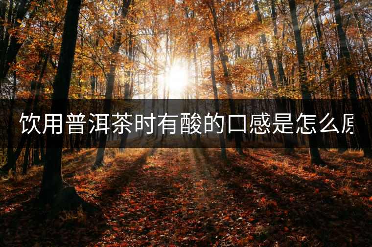 飲用普洱茶時(shí)有酸的口感是怎么原因？