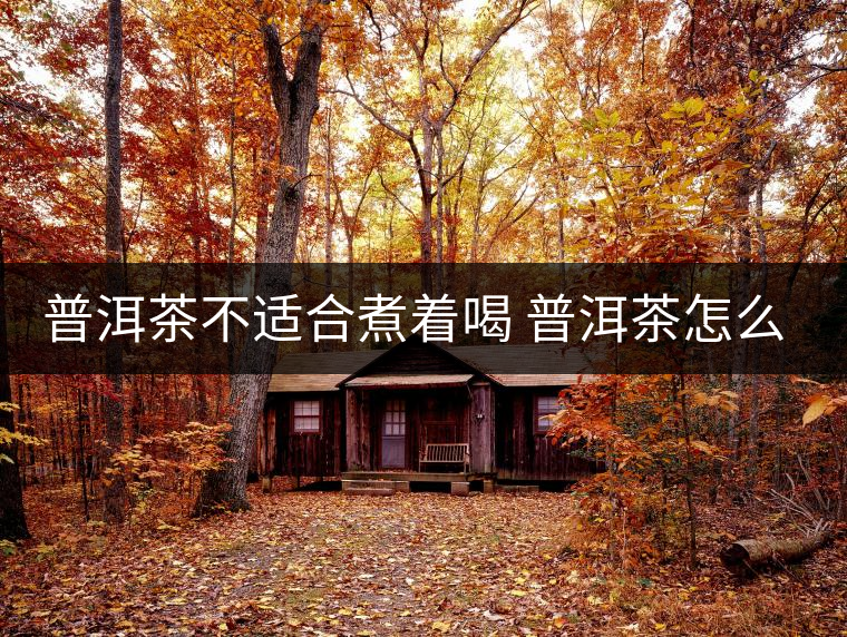 普洱茶不適合煮著喝 普洱茶怎么喝？