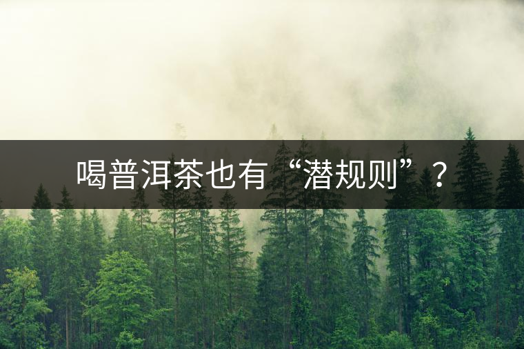 喝普洱茶也有“潛規(guī)則”？