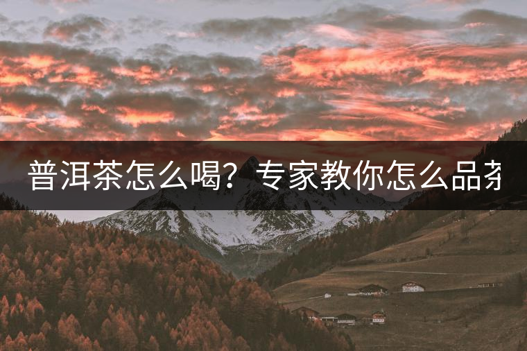 普洱茶怎么喝？專家教你怎么品茶？