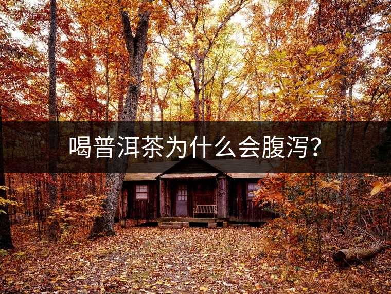 喝普洱茶為什么會(huì)腹瀉？