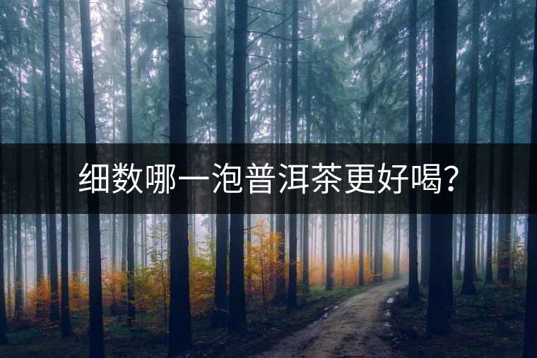 細數(shù)哪一泡普洱茶更好喝？