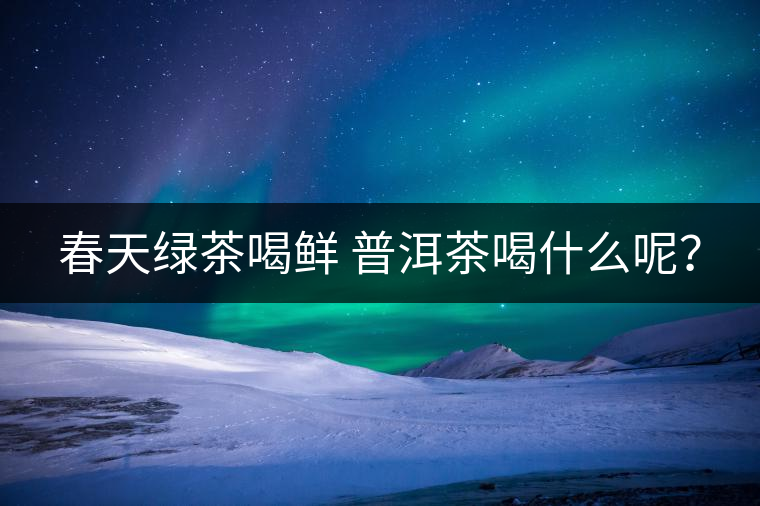 春天綠茶喝鮮 普洱茶喝什么呢？