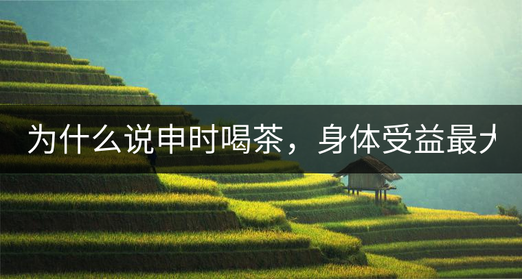 為什么說申時(shí)喝茶，身體受益最大？