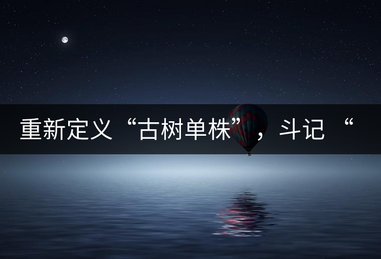 重新定義“古樹(shù)單株”，斗記 “超級(jí)審評(píng)”有償招募告罄在即！