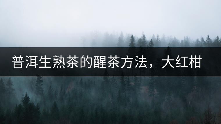 普洱生熟茶的醒茶方法，大紅柑與小青柑對比