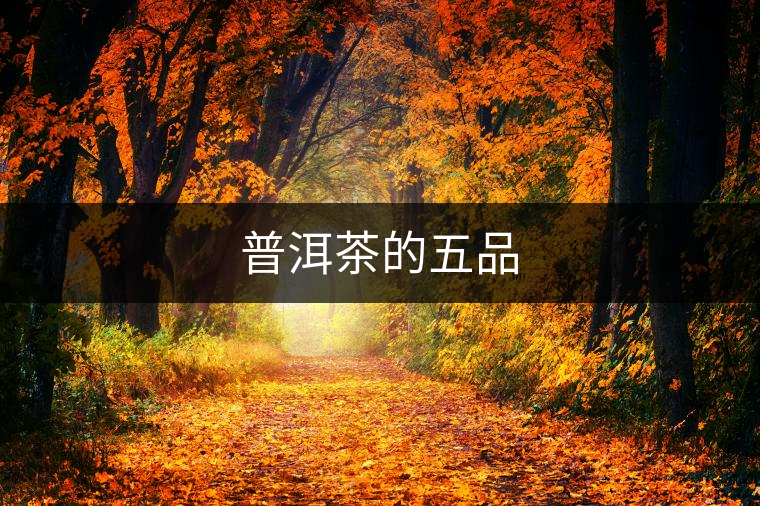 普洱茶的五品