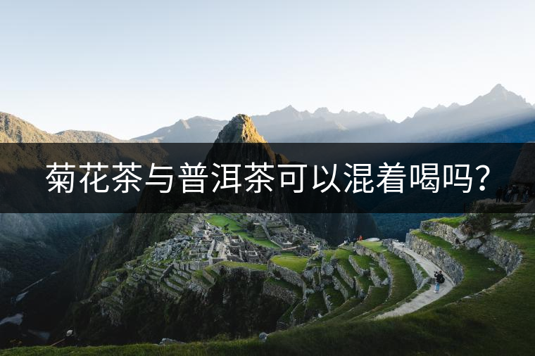 菊花茶與普洱茶可以混著喝嗎？