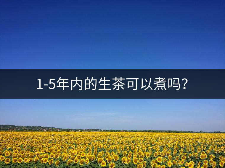 1-5年內(nèi)的生茶可以煮嗎？