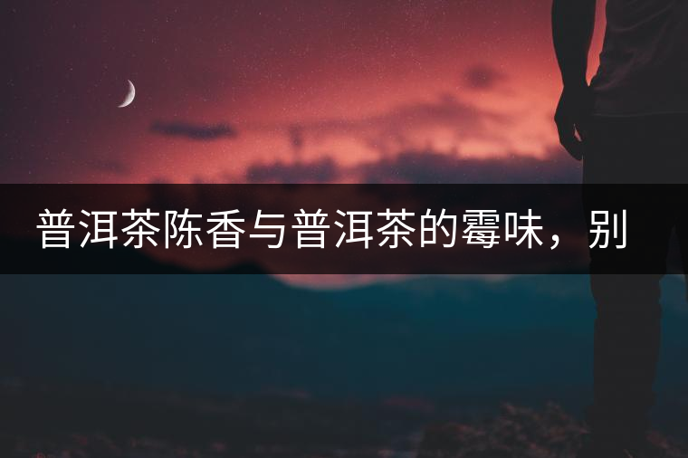 普洱茶陳香與普洱茶的霉味，別把它們給搞混了