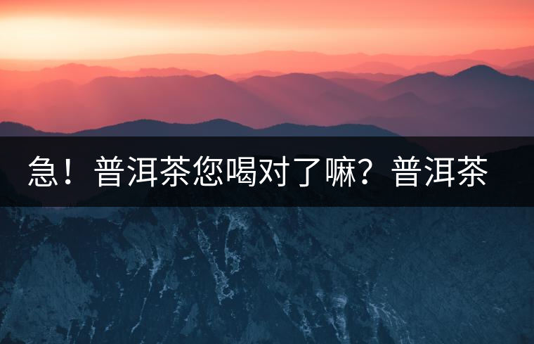 急！普洱茶您喝對(duì)了嘛？普洱茶的十八般武藝