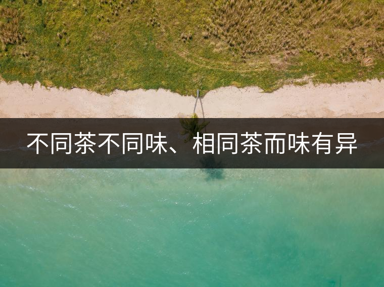 不同茶不同味、相同茶而味有異