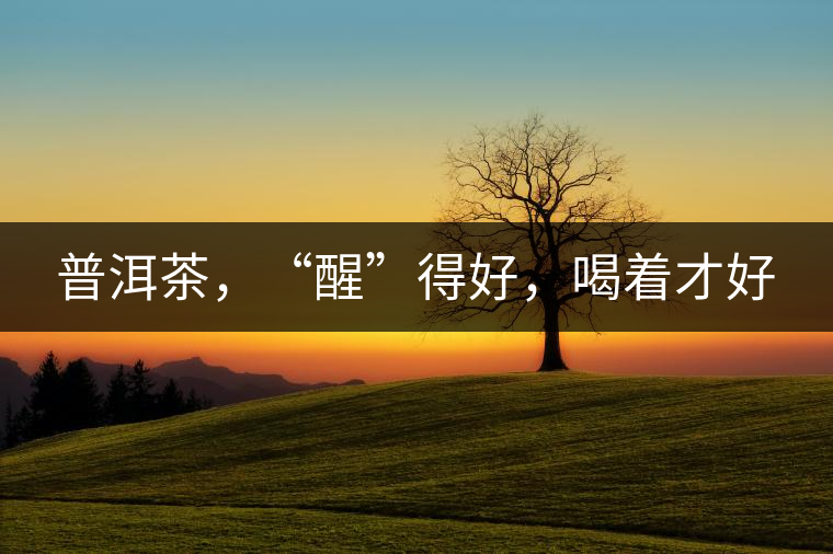 普洱茶，“醒”得好，喝著才好