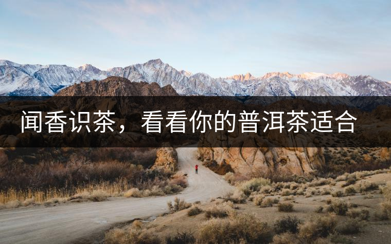 聞香識(shí)茶，看看你的普洱茶適合現(xiàn)在喝還是以后喝？