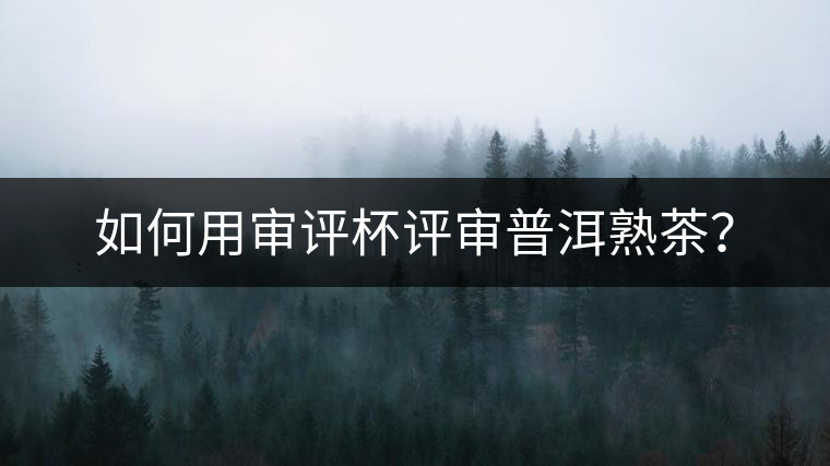 如何用審評杯評審普洱熟茶？