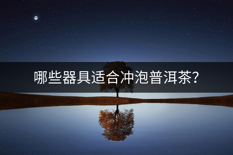 哪些器具適合沖泡普洱茶？