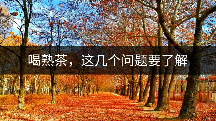 喝熟茶，這幾個(gè)問(wèn)題要了解