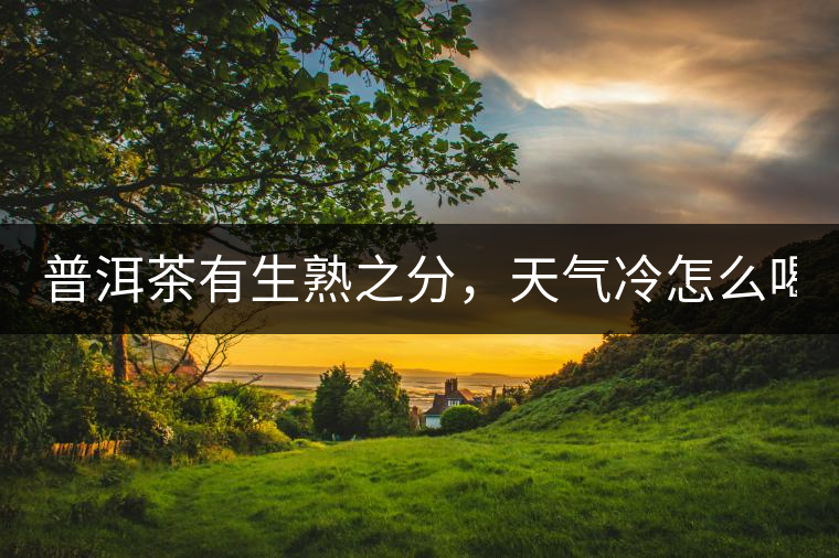 普洱茶有生熟之分，天氣冷怎么喝？