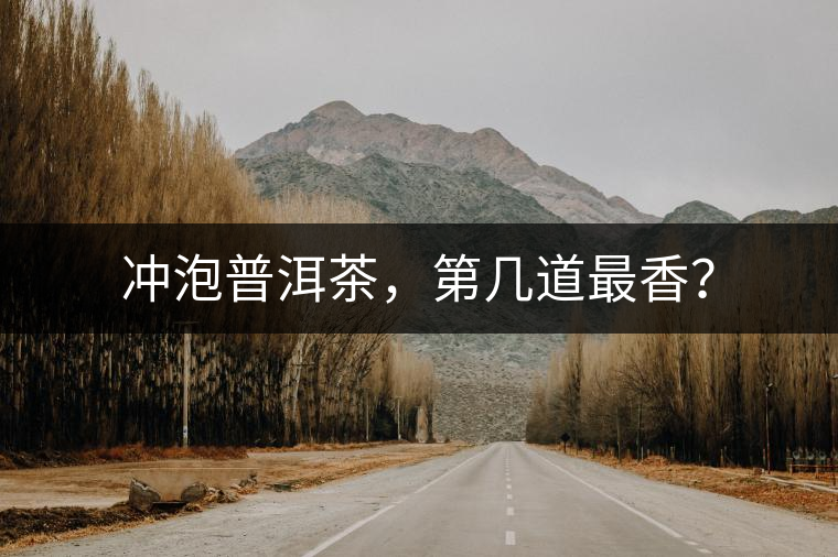 沖泡普洱茶，第幾道最香？