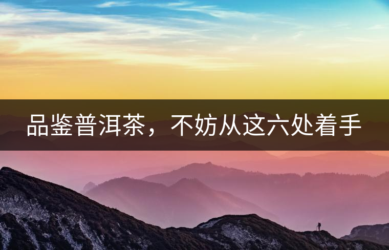 品鑒普洱茶，不妨從這六處著手