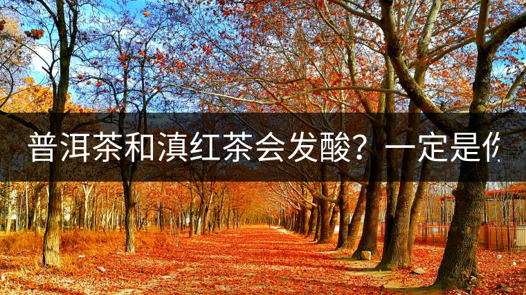 普洱茶和滇紅茶會發(fā)酸？一定是你這么做了！