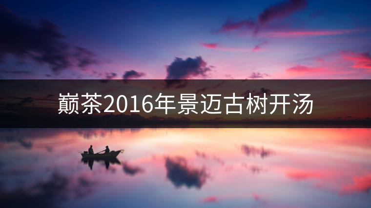 巔茶2016年景邁古樹開湯 巔茶2016年景邁古樹開湯