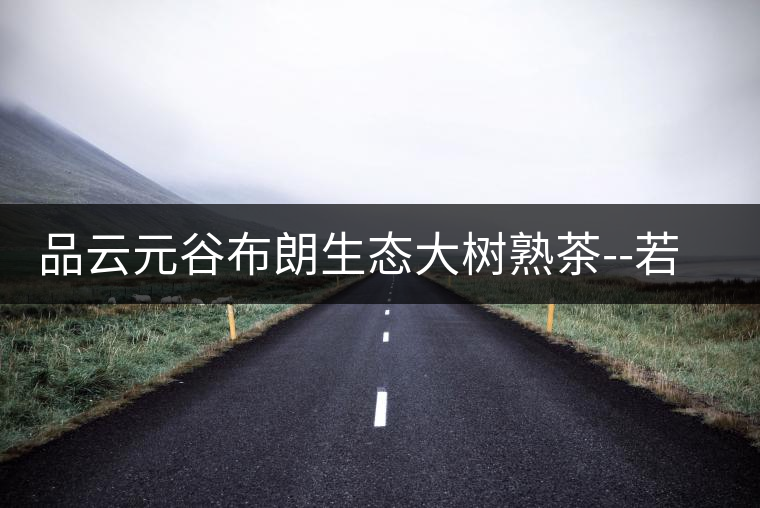 品云元谷布朗生態(tài)大樹(shù)熟茶--若谷