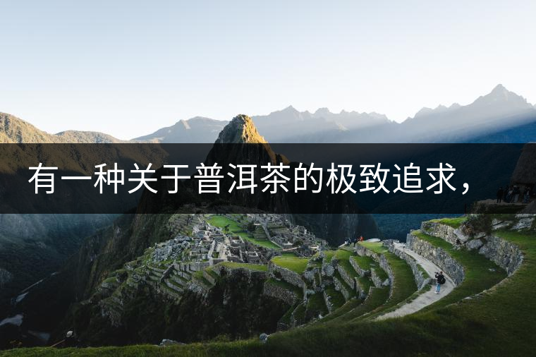 有一種關(guān)于普洱茶的極致追求， 當(dāng)屬于鴻中鴻