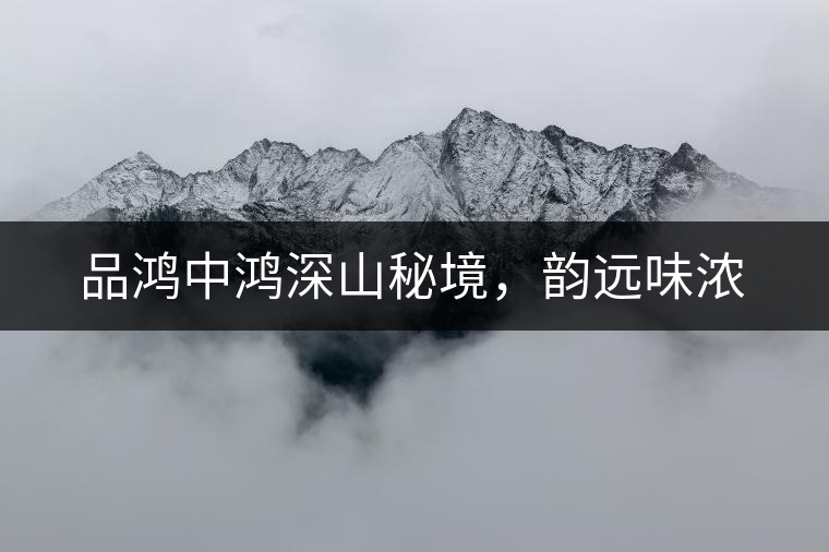 品鴻中鴻深山秘境，韻遠(yuǎn)味濃