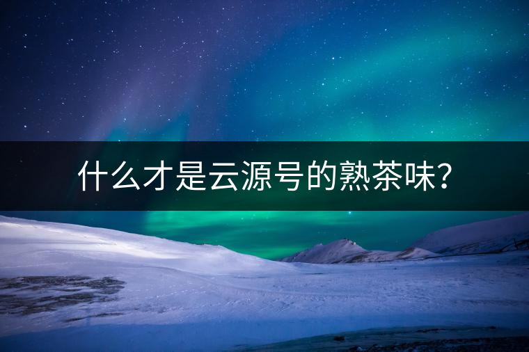 什么才是云源號的熟茶味？