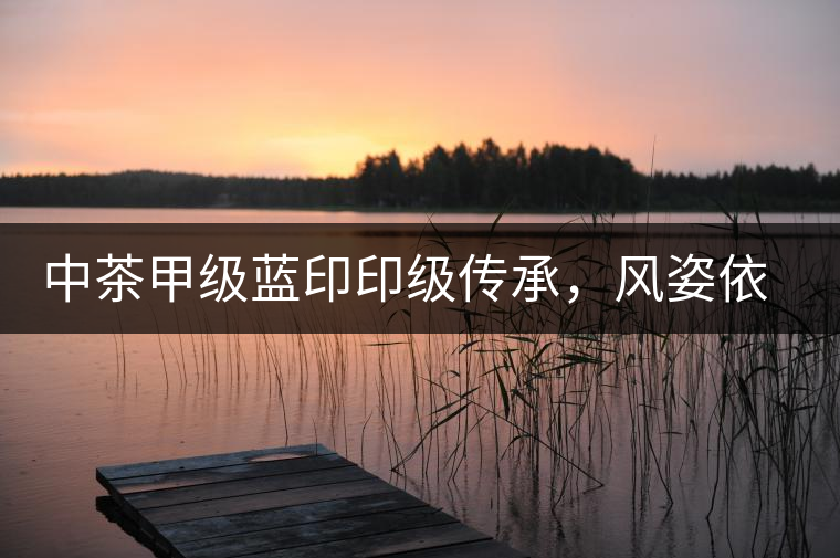 中茶甲級(jí)藍(lán)印印級(jí)傳承，風(fēng)姿依舊