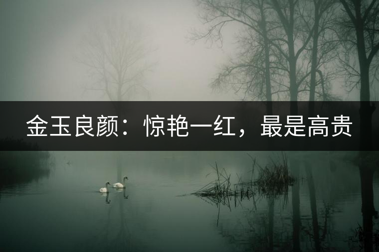 金玉良顏：驚艷一紅，最是高貴