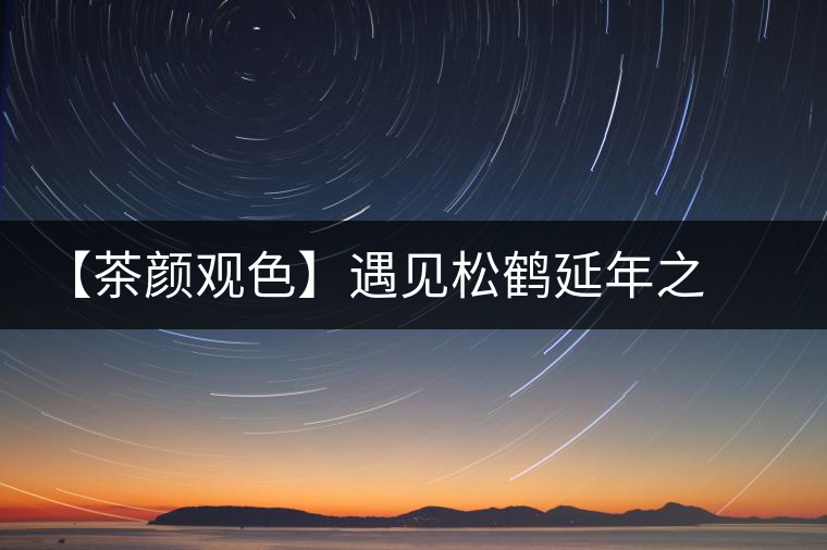 【茶顏觀色】遇見(jiàn)松鶴延年之美