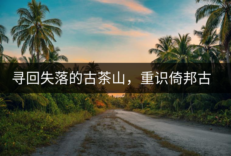 尋回失落的古茶山，重識倚邦古韻