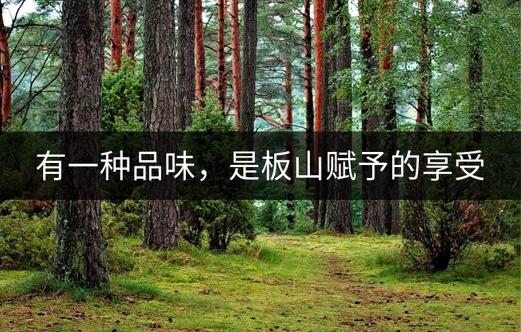 有一種品味，是板山賦予的享受