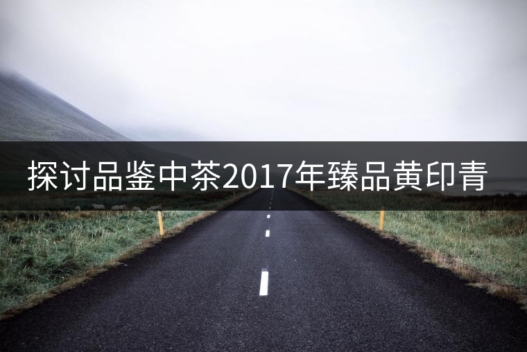 探討品鑒中茶2017年臻品黃印青餅