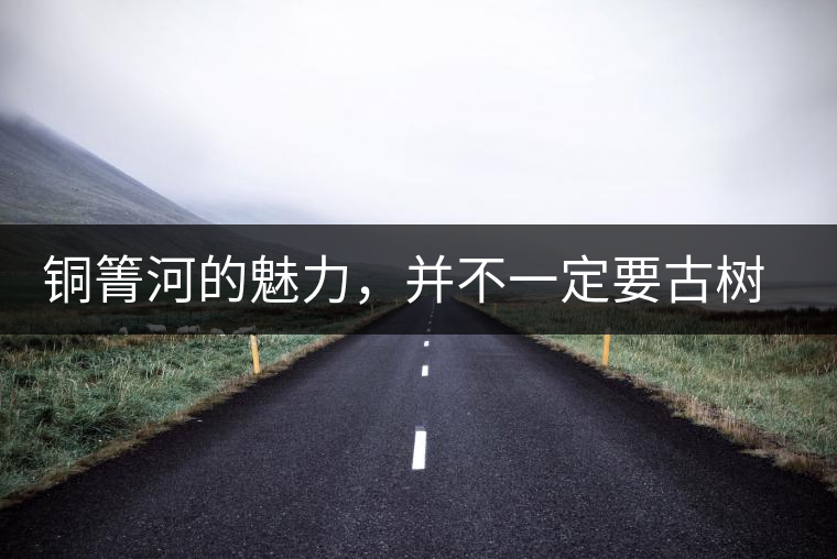 銅箐河的魅力，并不一定要古樹來體現(xiàn)