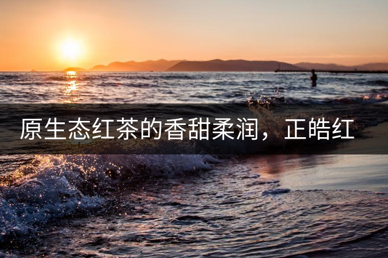 原生態(tài)紅茶的香甜柔潤，正皓紅的魅力無可抵擋！