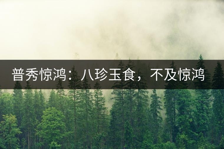 普秀驚鴻：八珍玉食，不及驚鴻一湯