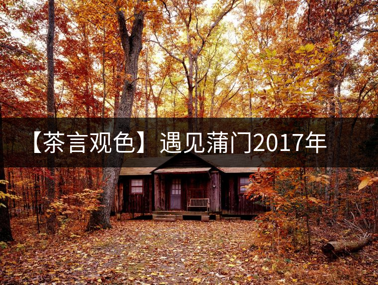 【茶言觀色】遇見蒲門2017年茗門一級工夫紅茶 【茶言觀色】遇見蒲門2017年茗門一級工夫紅茶