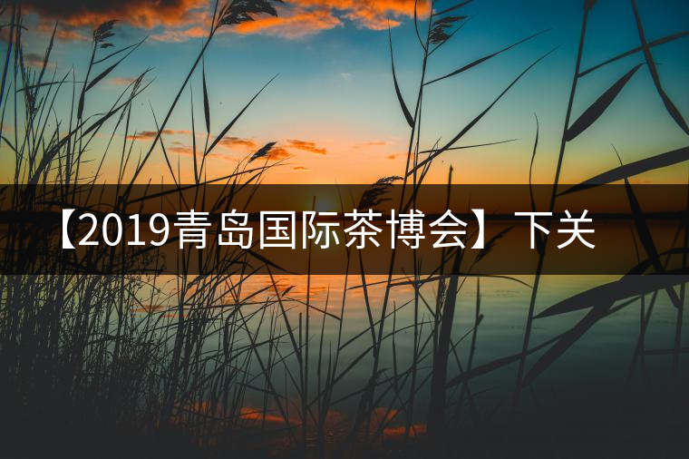 【2019青島國際茶博會(huì)】下關(guān)沱茶攜新品C位亮相！