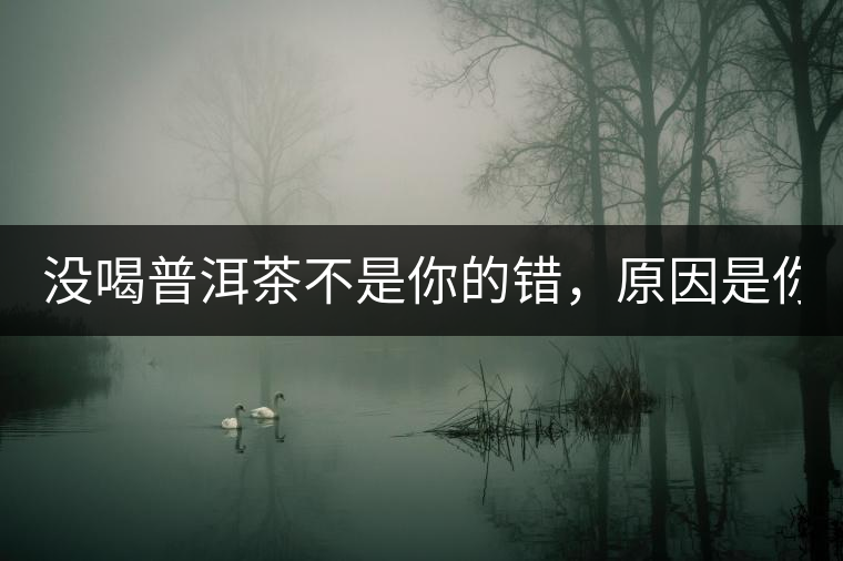 沒喝普洱茶不是你的錯,原因是你還沒遇到Y(jié)671與Y562 沒喝普洱茶不是你的錯,原因是你還沒遇到Y(jié)671與Y562