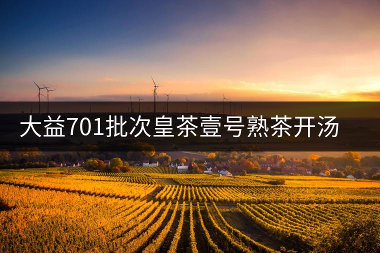 大益701批次皇茶壹號熟茶開湯賞析 大益701批次皇茶壹號熟茶開湯賞析